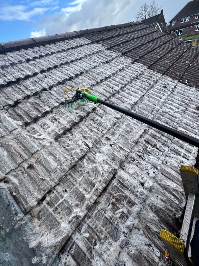 rinse & rake services